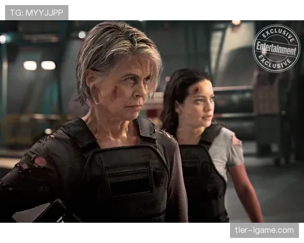 维尔茨:组织核心到终结者角色进化与数据解析 维尔茨:组织核心到终结者角色进化与数据解析